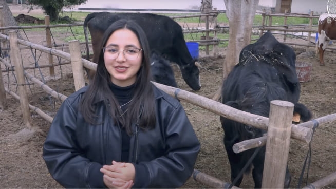 Medicina Veterinaria